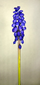 F 047C